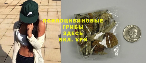 apvp Бородино