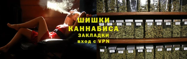 мдпв Бронницы