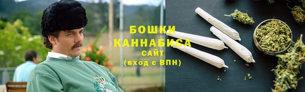 мдпв Бронницы