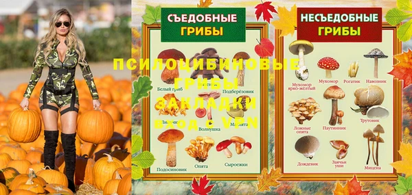 мдпв Бронницы