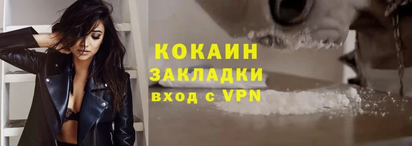apvp Бородино