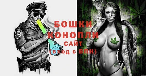 мдпв Бронницы