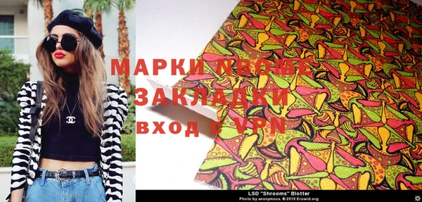 apvp Бородино