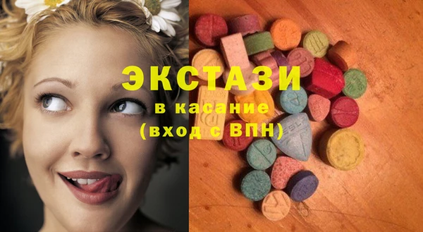 дживик Верхний Тагил