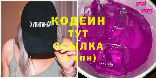 apvp Бородино