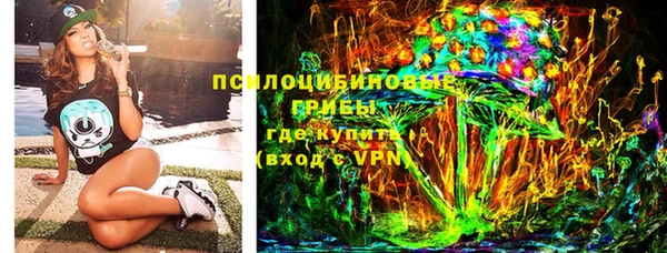 apvp Бородино