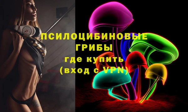 спайс Верея